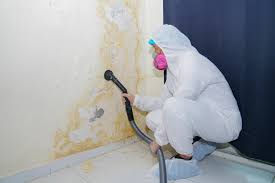 Best Crawl Space Mold Remediation in Ohioville, PA